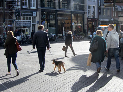  Binnenstad Ondernemers Federatie