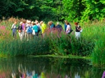 Den Haag - Excursie in Segbroekpark